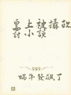 皇上被摄政王惩罚小说