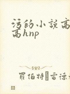 污的小说高细节高hnp封面