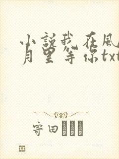 小说我在风花雪月里等你txt