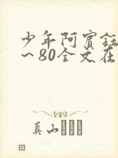 少年阿宾钰慧1～80全文在线阅读