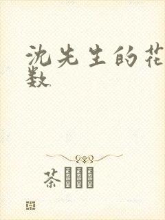 沈先生的花式调数