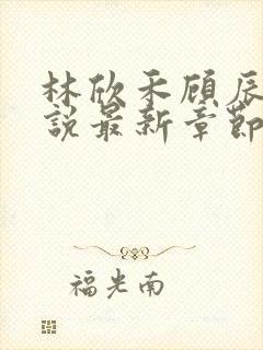 林欣禾顾辰昀小说最新章节免费阅读