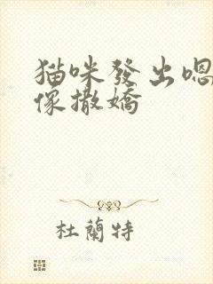 猫咪发出嗯嗯声像撒娇