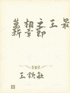 万相之王最快更新章节封面