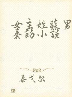 女主姓苏男主姓秦的小说