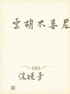 云胡不喜尼卡封面