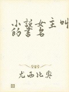 小说女主叫沈念的书名