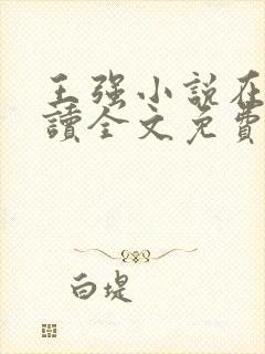 王强小说在线阅读全文免费封面