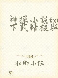 神探小说txt下载精校版