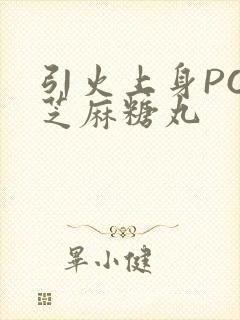 引火上身POP芝麻糖丸