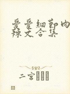 爱爱细节肉肉黄辣文合集