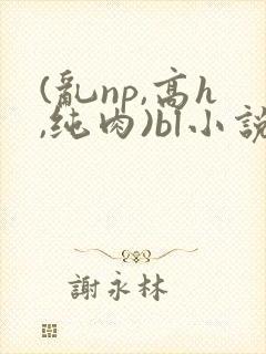 (乱np,高h,纯肉)bl小说