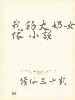 我的大奶女友小依 小说
