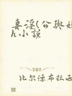 妻淫(公与媳7h小说