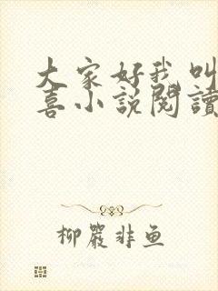 大家好我叫林小喜小说阅读全文