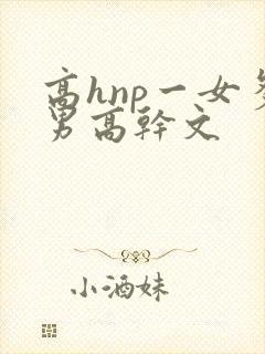 高hnp一女多男高干文