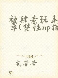 被肆意玩弄的仙尊(双性np总受)