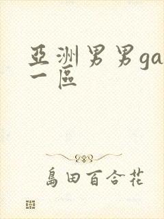 亚洲男男gay一区封面
