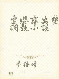 云缨露出双乳求调教小说封面