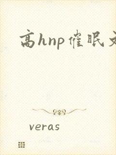 高hnp催眠文