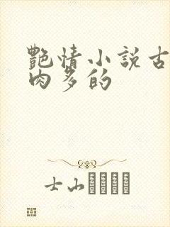 艳情小说古言肉肉多的