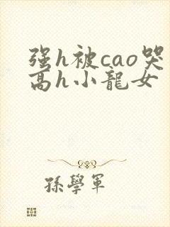 强h被cao哭高h小龙女封面