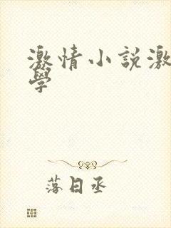 激情小说激情文学封面