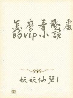 怎么看飞卢小说的vip小说