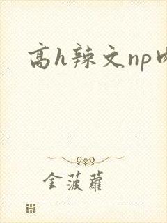 高h辣文np肉