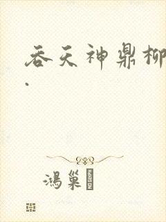 吞天神鼎柳无邪.