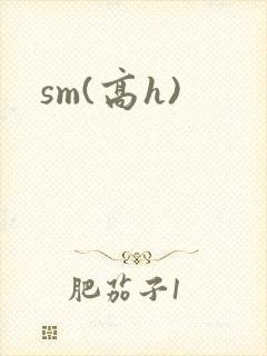 sm(高h)