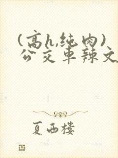 (高h,纯肉)公交车辣文
