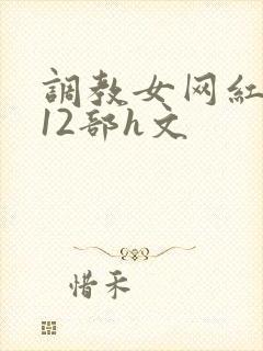 调教女网红1～12部h文