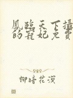 凤临天下摄政王的宠妃免费阅读