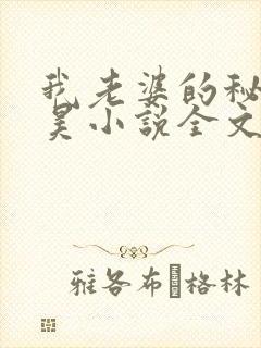 我老婆的秘密吴昊小说全文