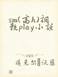 sm(高h)调教play小说
