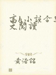 高h小说合集全文阅读