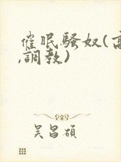 催眠骚奴(高h,调教)