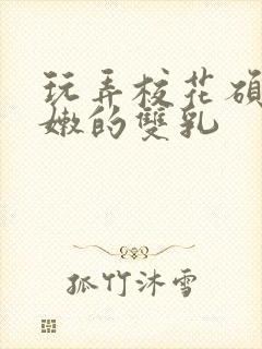 玩弄校花硕大白嫩的双乳