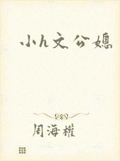 小h文公媳