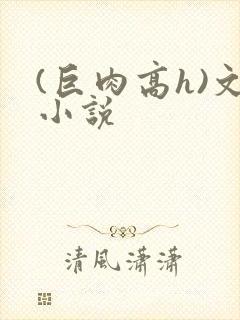 (巨肉高h)文小说