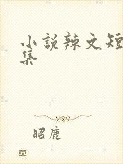 小说辣文短篇合集
