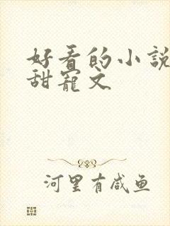 好看的小说言情甜宠文封面