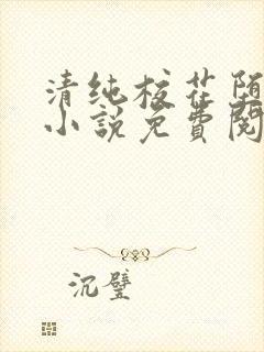 清纯校花堕落记小说免费阅读allimine