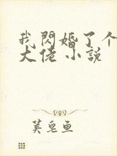 我闪婚了个财阀大佬 小说