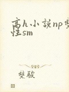 高h小说np双性sm