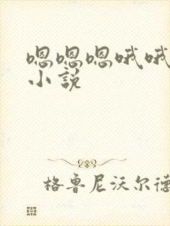 嗯嗯嗯哦哦啊啊小说