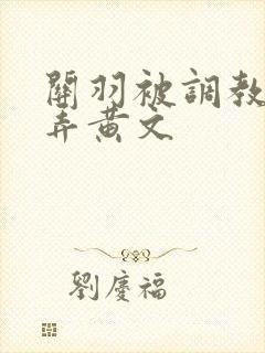 关羽被调教h玩弄黄文