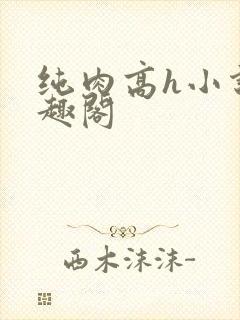 纯肉高h小说笔趣阁
