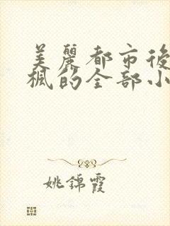 美丽都市后宫唐枫的全部小说